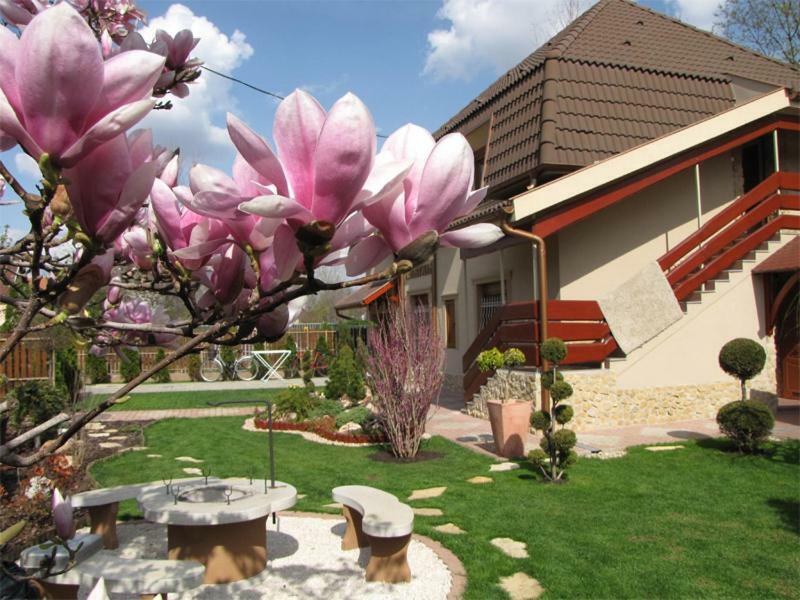 Szegfu Apartman Hajduszoboszlo Exterior foto